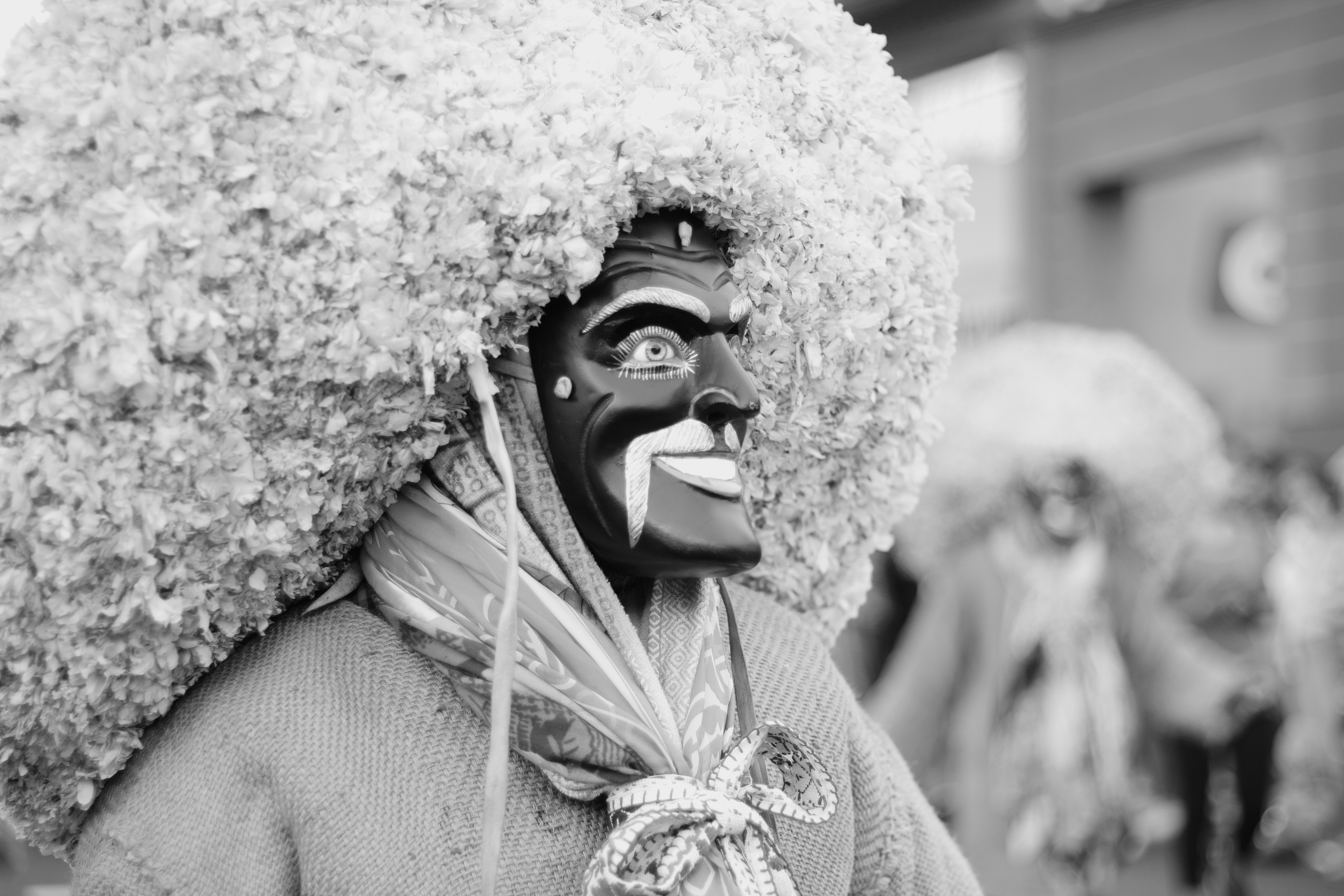 Tlacolero en pluviosilla