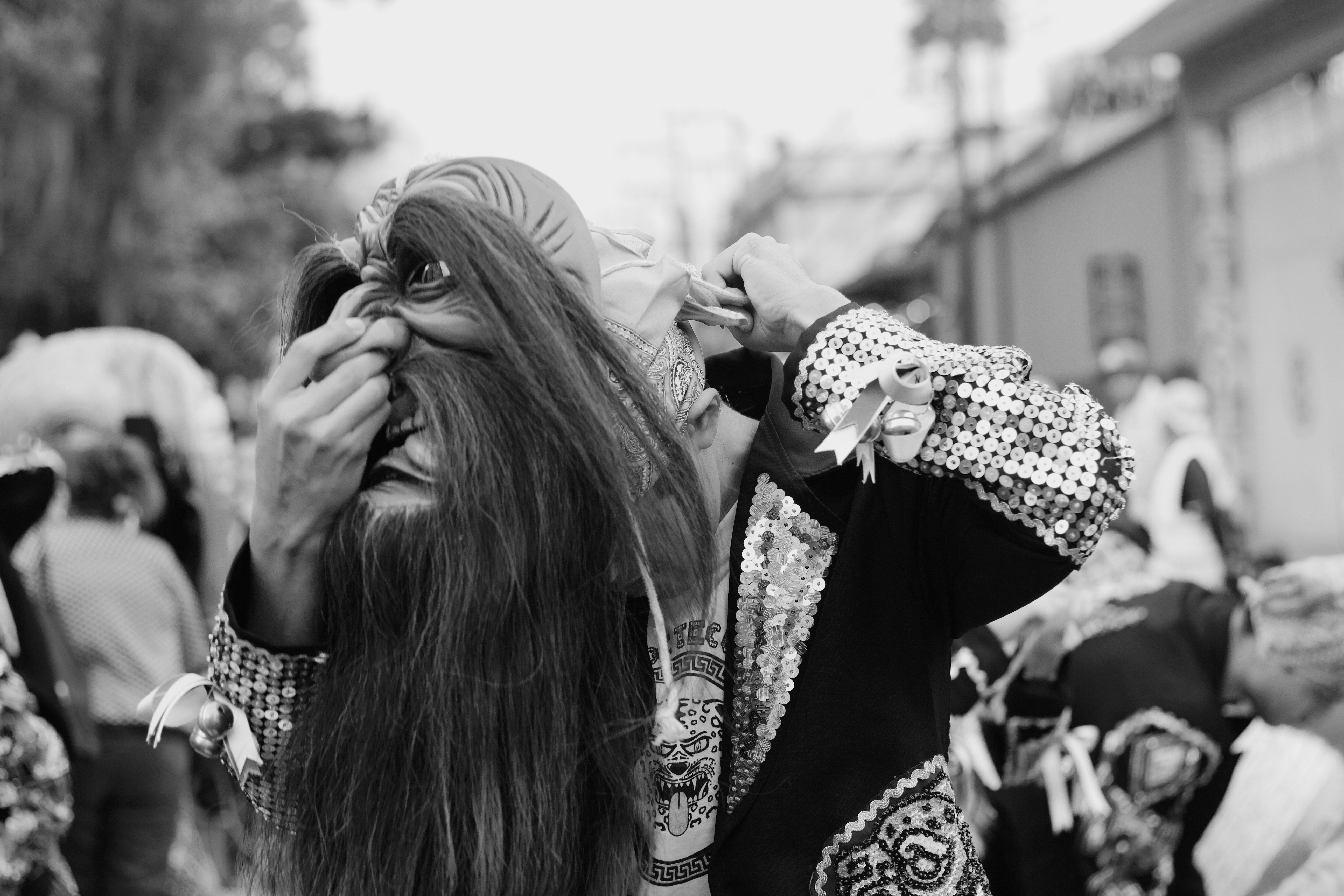 Metamorfosis I - Mariachi Huehue