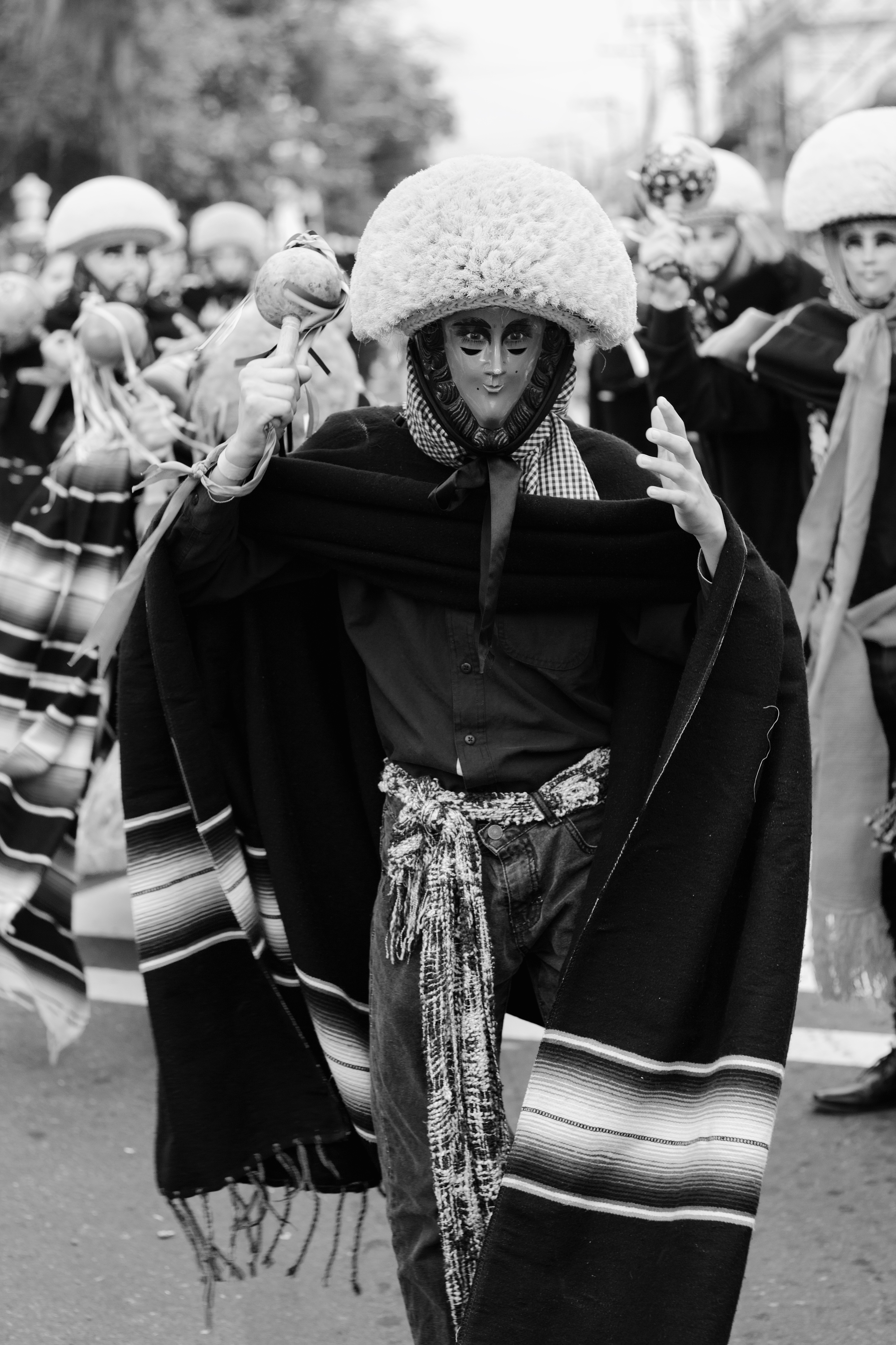 Parachico en pluviosilla